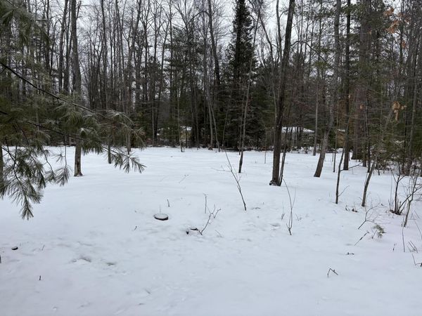 River Drive, Atlanta, MI 49709