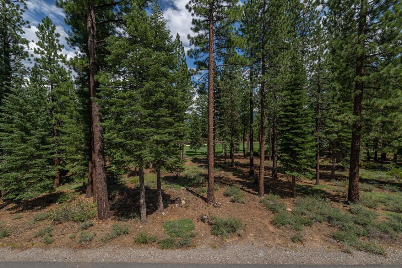 12227 Pete Alvertson Drive, Truckee, CA 96161 Photo