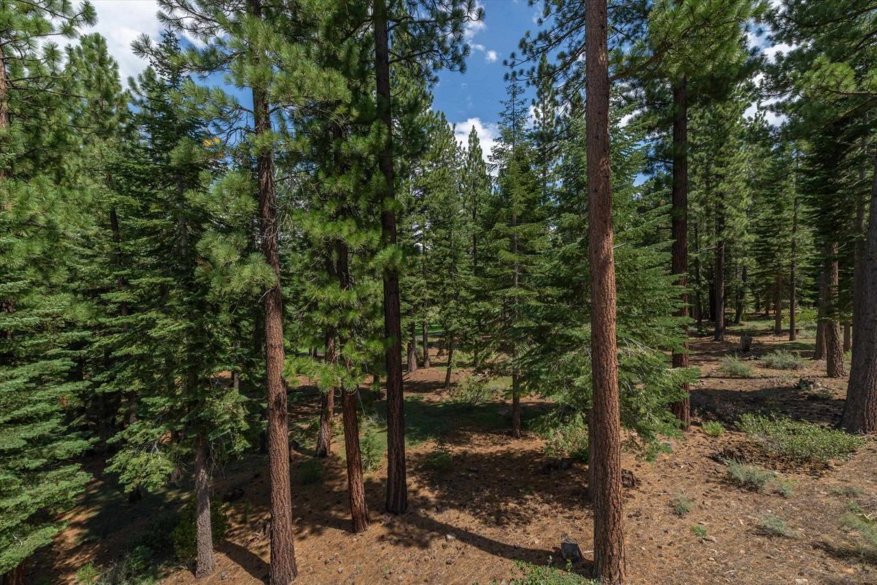 12227 Pete Alvertson Drive, Truckee, CA 96161 Photo