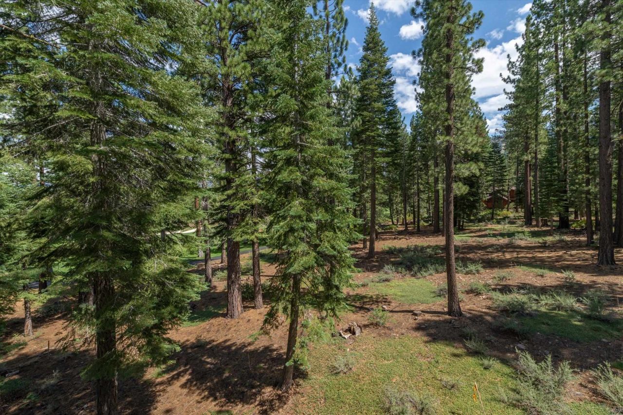12227 Pete Alvertson Drive, Truckee, CA 96161 Photo