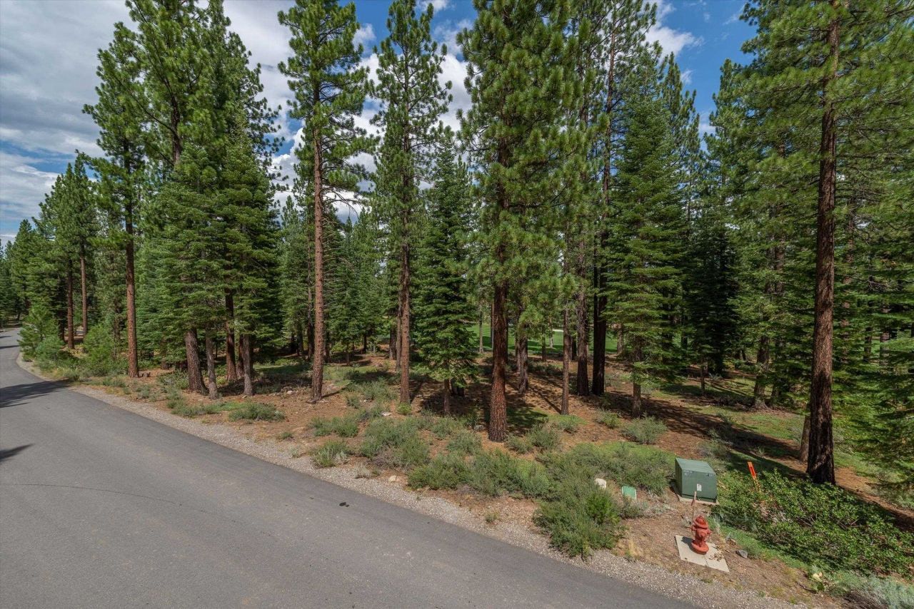 12227 Pete Alvertson Drive, Truckee, CA 96161 Photo
