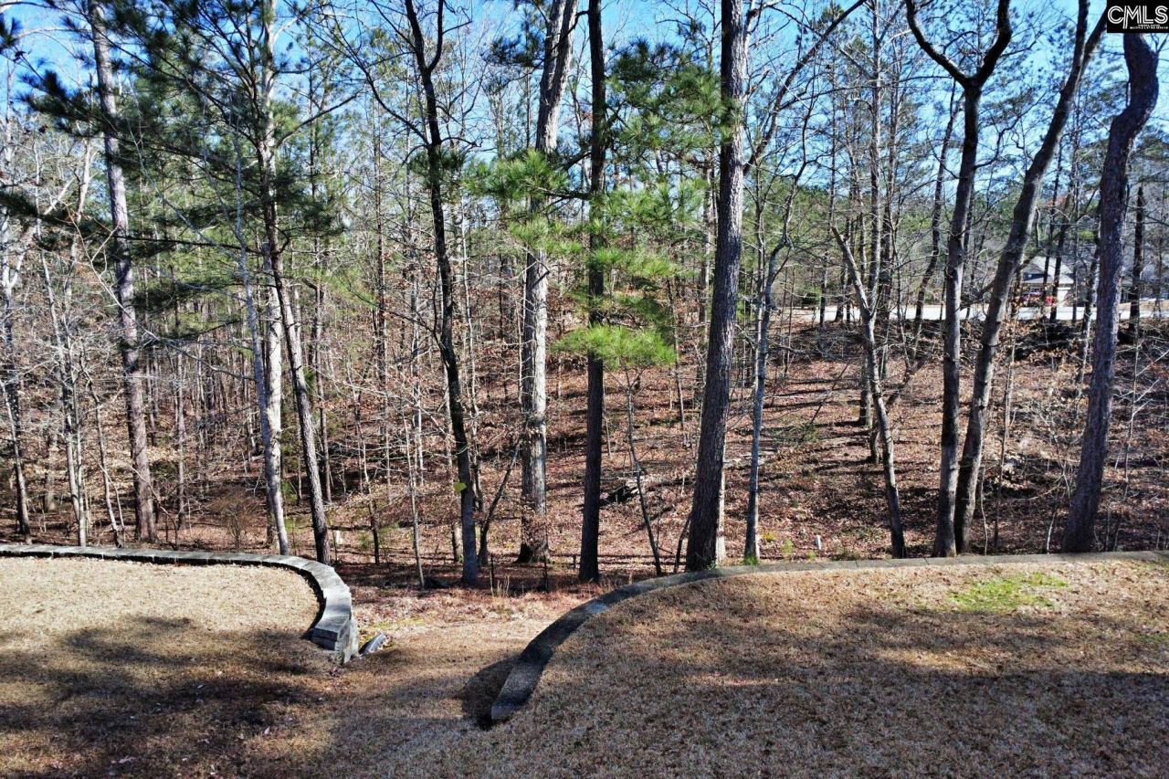 634 Bluff Pointe Photo 45