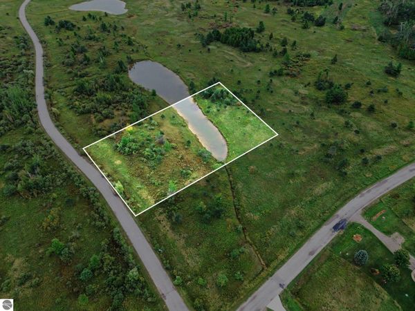 6436 Lora Bette Drive, Alanson, MI 49706
