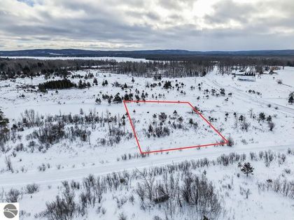 6436 Lora Bette Drive Alanson, MI 49706