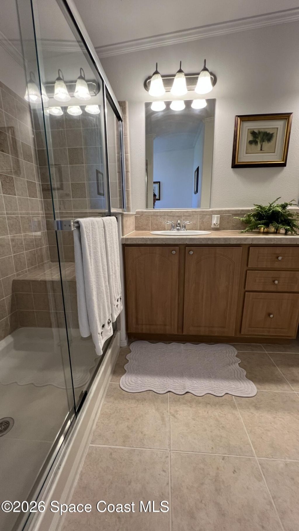 621 Puffin Drive, Barefoot Bay, FL 32976 Photo