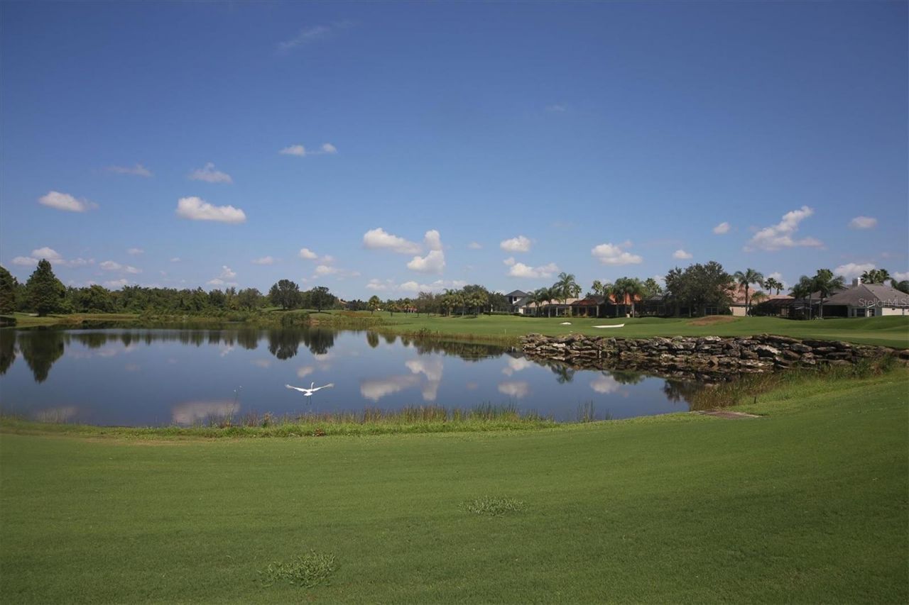 13853 Siena Loop, Lakewood Ranch, FL 34202 Photo