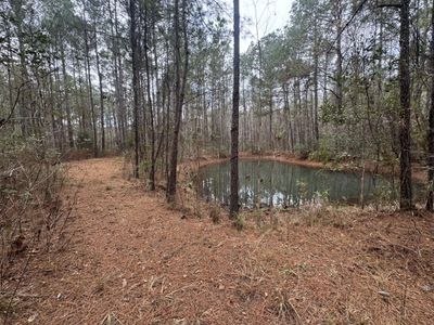 0 Deerhaven Court, Huger, SC 29450