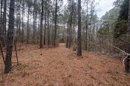 0 Deerhaven Court photo 4