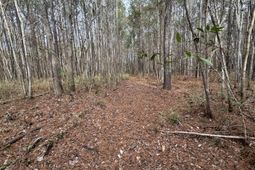 0 Deerhaven Court photo 4