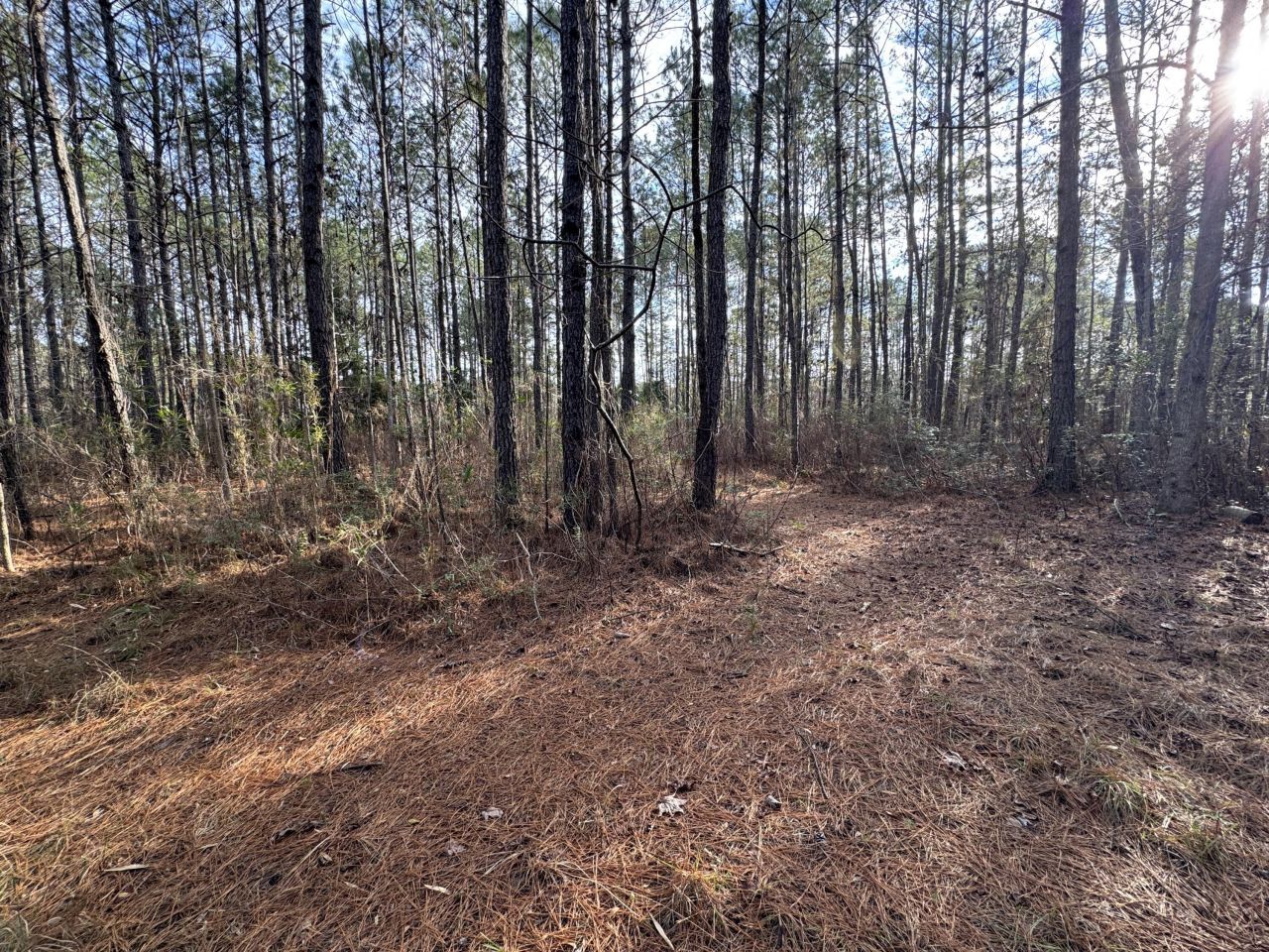 0 Deerhaven Court Photo 4