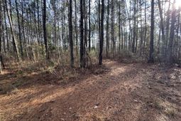 0 Deerhaven Court photo 4