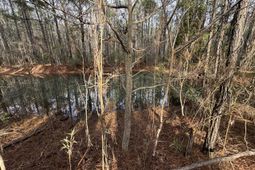 0 Deerhaven Court photo 4