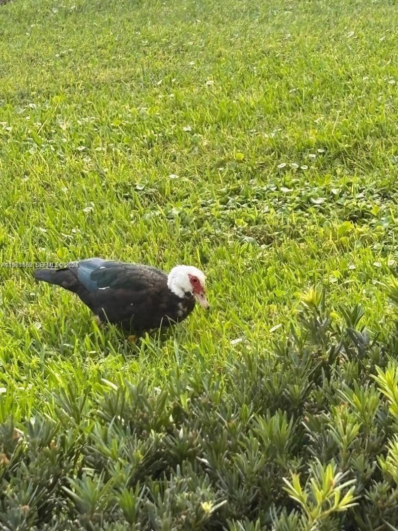 82 Dorset B, Unit 82 dorset, Boca Raton, FL 33434 Photo