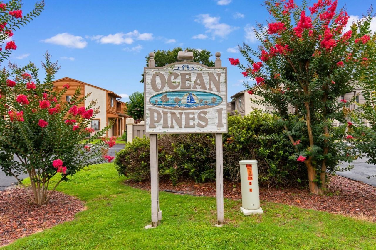 619 14th Ave. S Photo 34