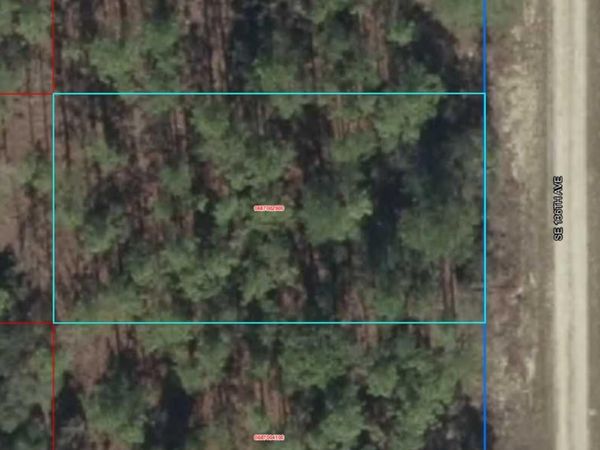 Lot 10 SE 136TH AVENUE, DUNNELLON, FL 34431