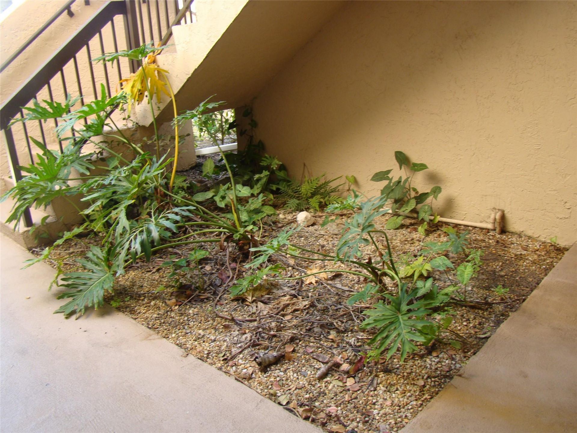 2636 Carambola Circle, Unit 1722, Coconut Creek, FL 33066 Photo