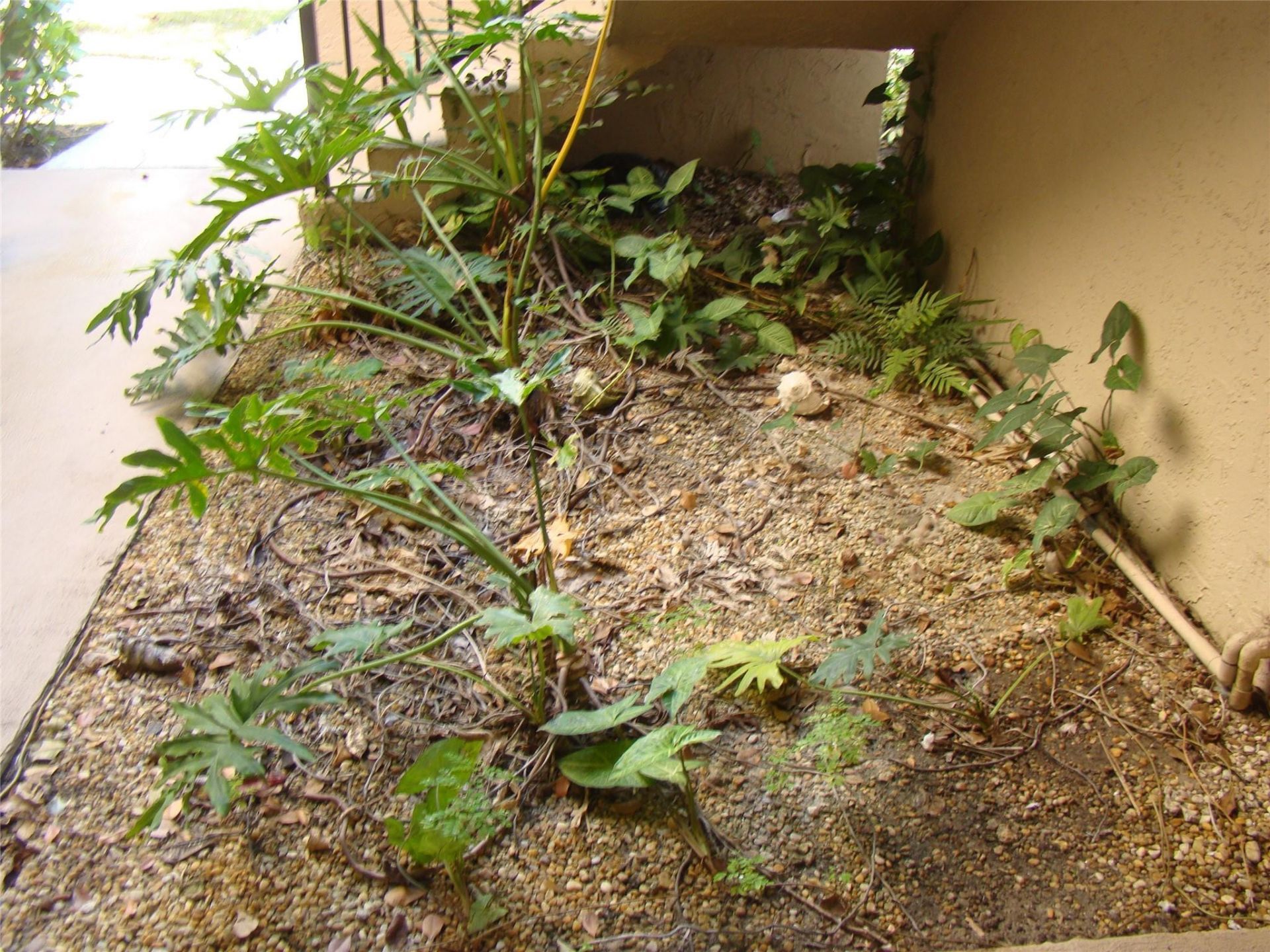 2636 Carambola Circle, Unit 1722, Coconut Creek, FL 33066 Photo