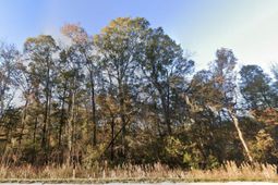 4801 Old Fort Drive photo 4