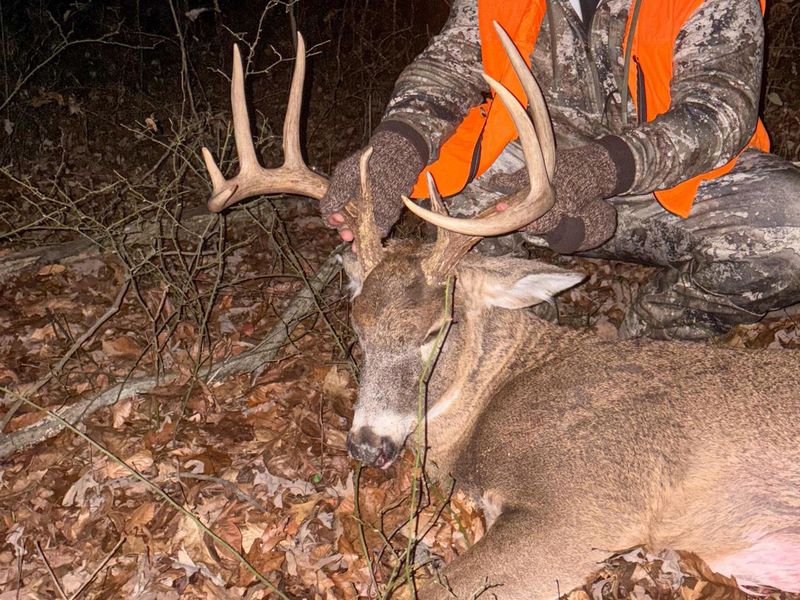 36472 Kern Road , Nelsonville, OH 45764 Photo 67