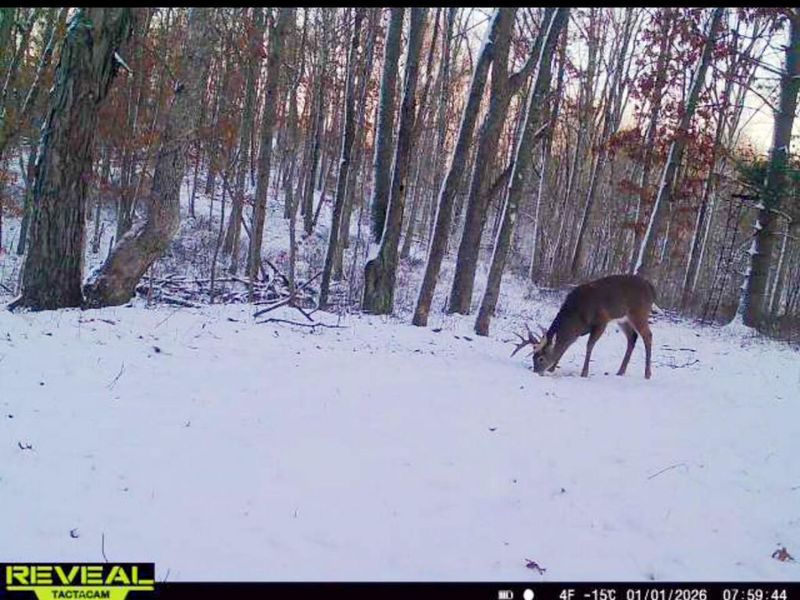 36472 Kern Road , Nelsonville, OH 45764 Photo 68