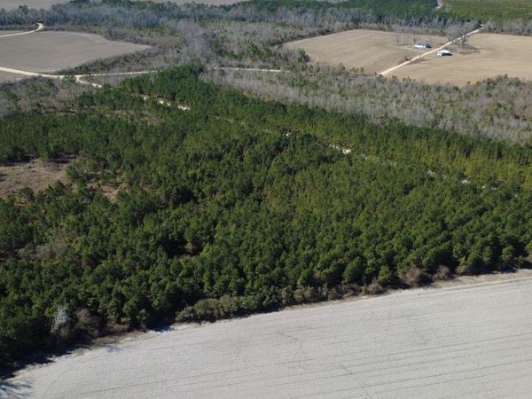 TRACT 4 Greyhound Road, Mershon, GA 31551