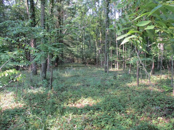 105th Avenue, Unit Parcel 04, Pullman, MI 49450