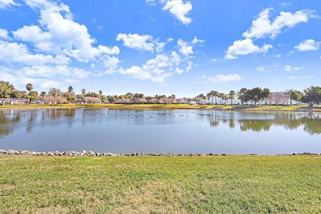 4714 Cobia Drive Se, Unit C, Saint Petersburg, FL 33705 Photo