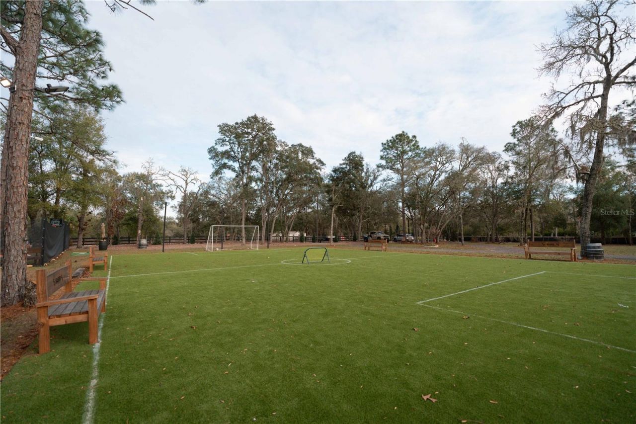 7670 NE 97th Court, Bronson, FL 32621 Photo