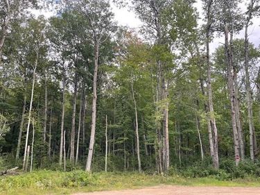 0 Levi Lane , Crosslake, MN 56442