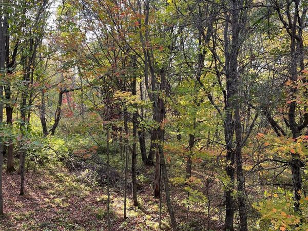 0 Levi Lane , Crosslake, MN 56442