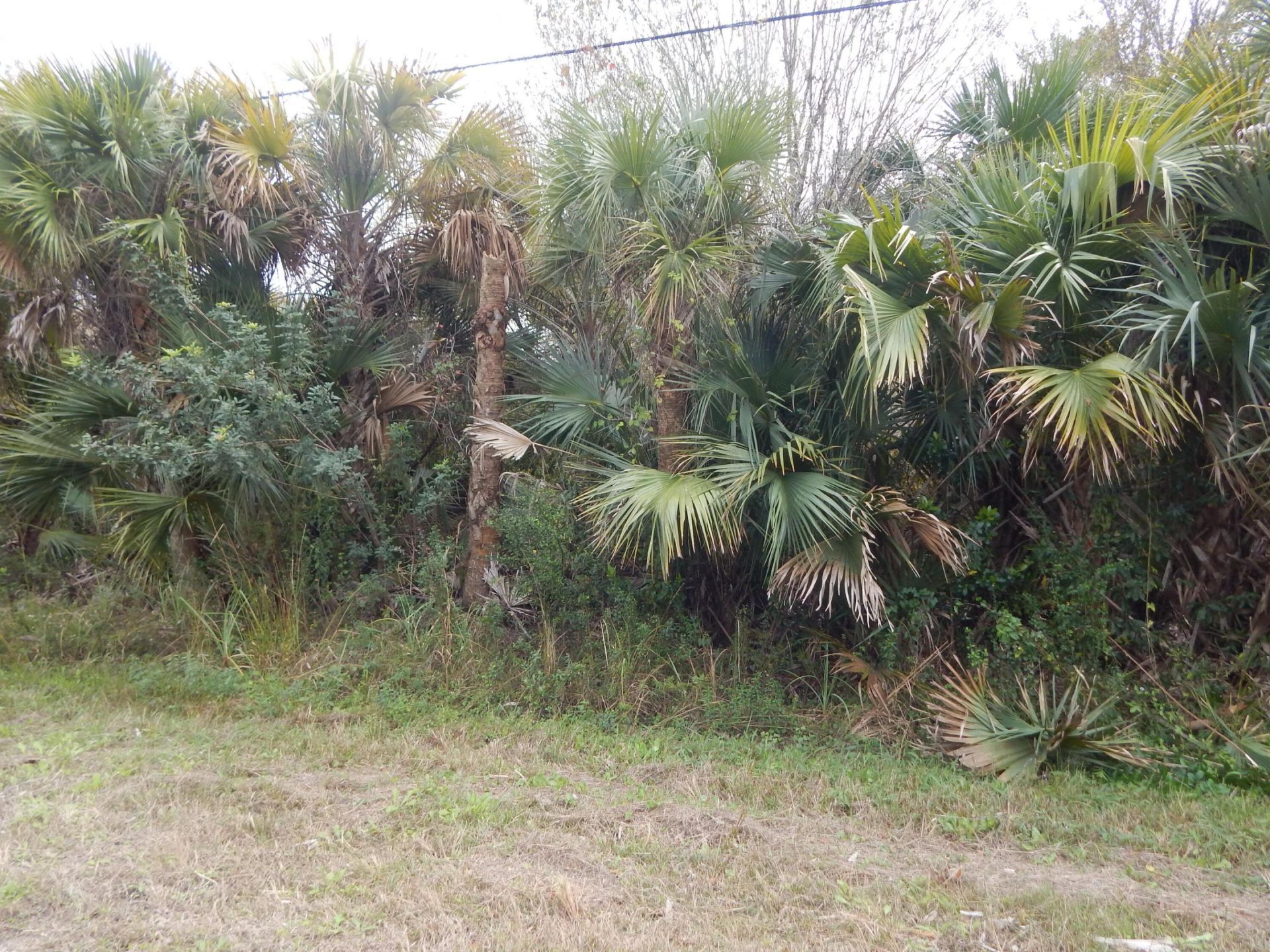 581 Avenida Del Sur, Clewiston, FL 33440 Photo