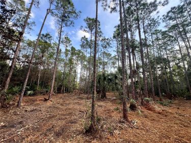 PANTERA LN, NAPLES, FL 34120