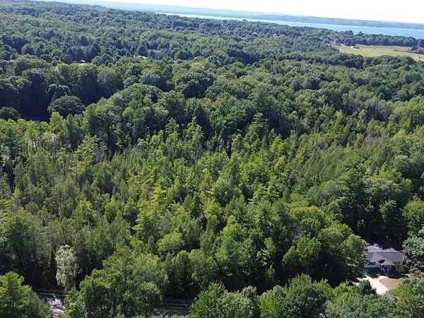 4715 Springbrook Drive, Williamsburg, MI 00000