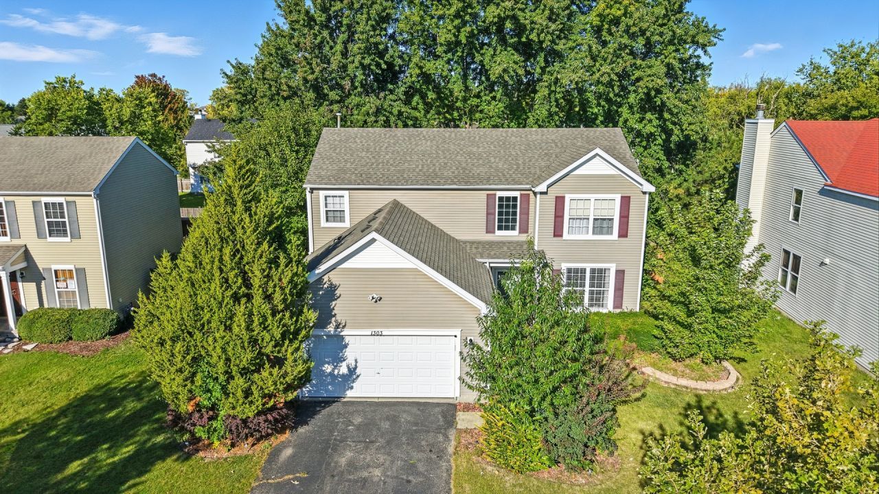 1303 Bridgehampton Drive, Plainfield, IL 60586 Main Photo
