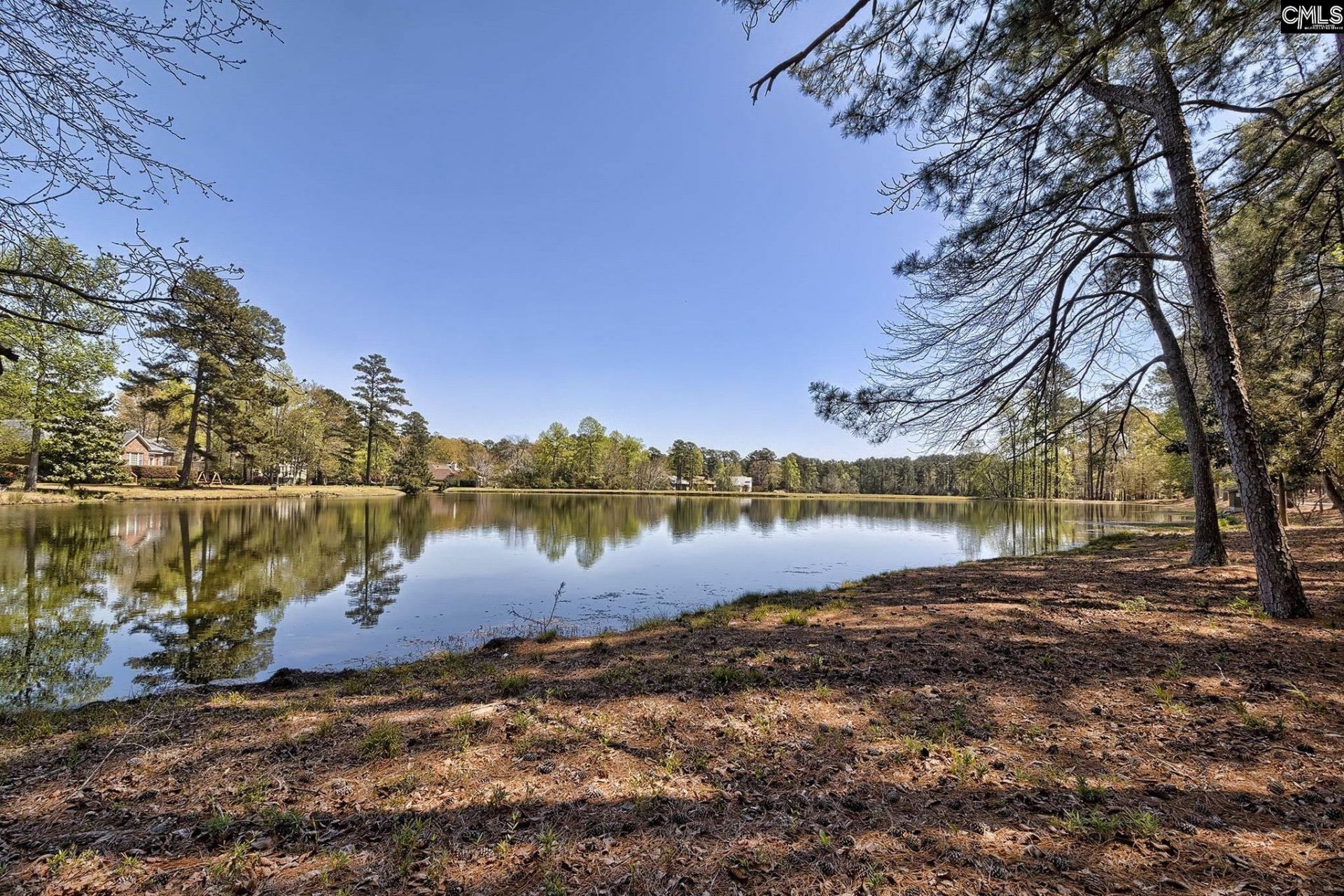 46 Woodwind Court Photo 54