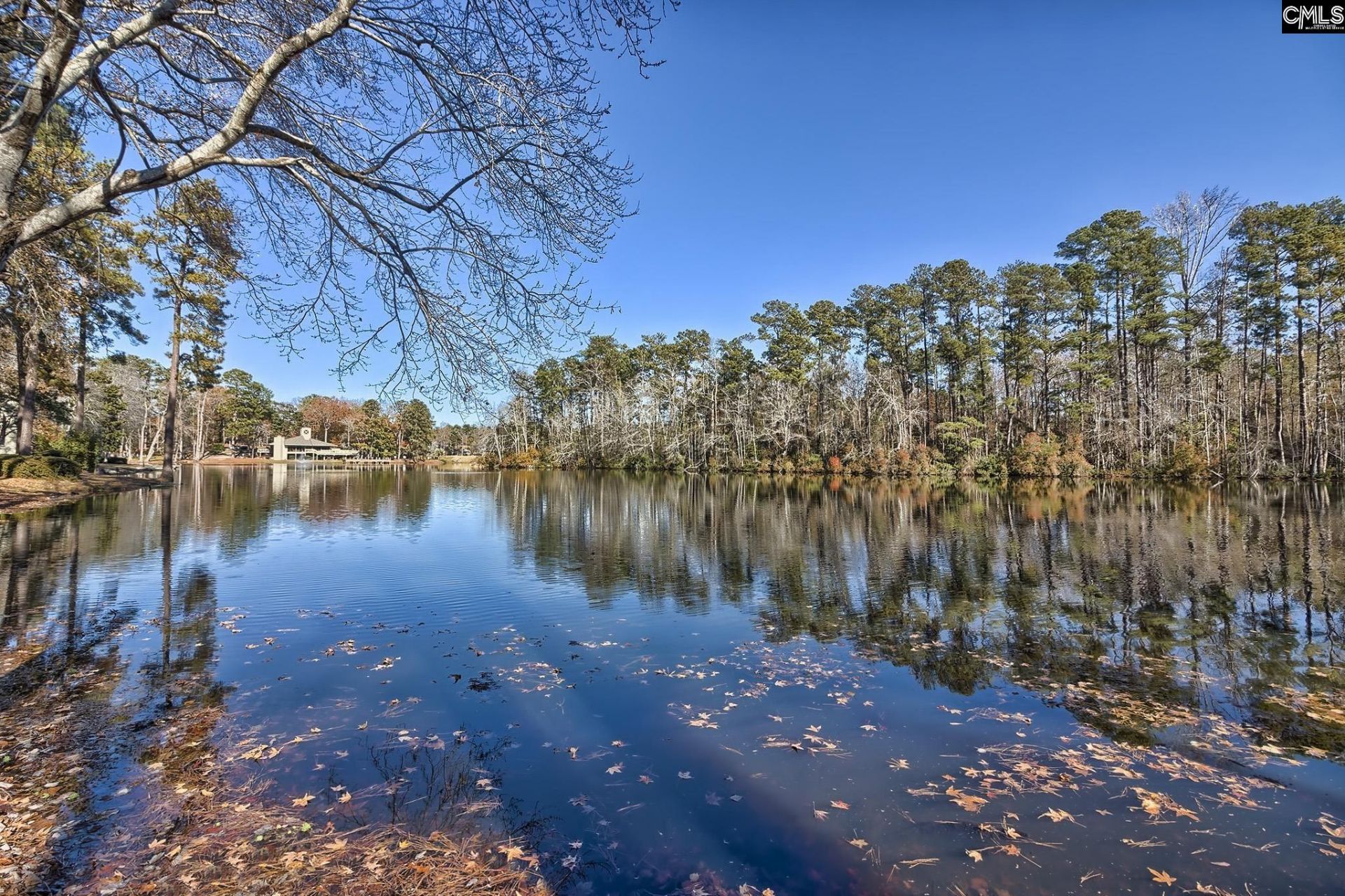 46 Woodwind Court Photo 63