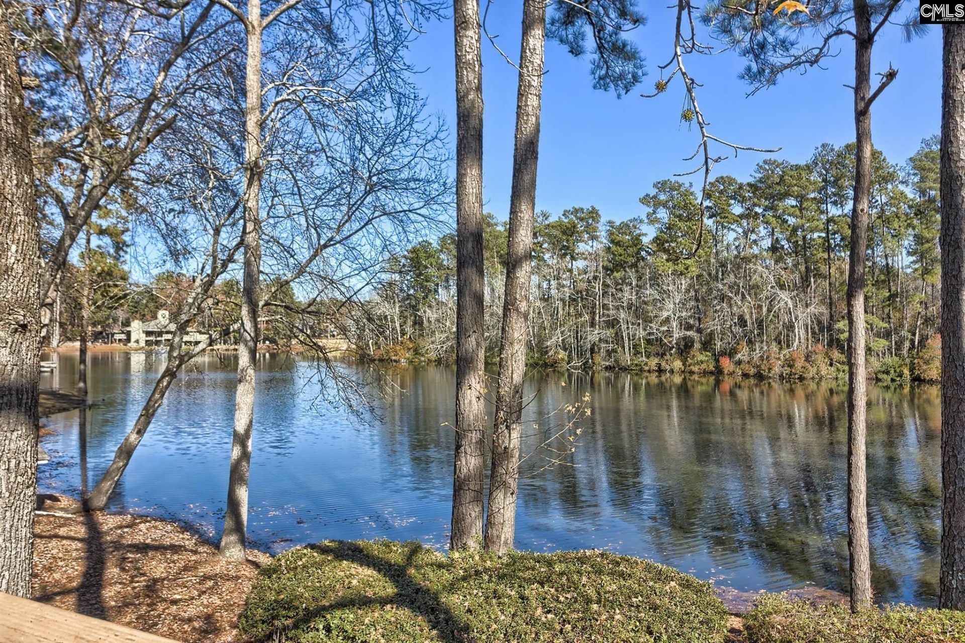 46 Woodwind Court Photo 64