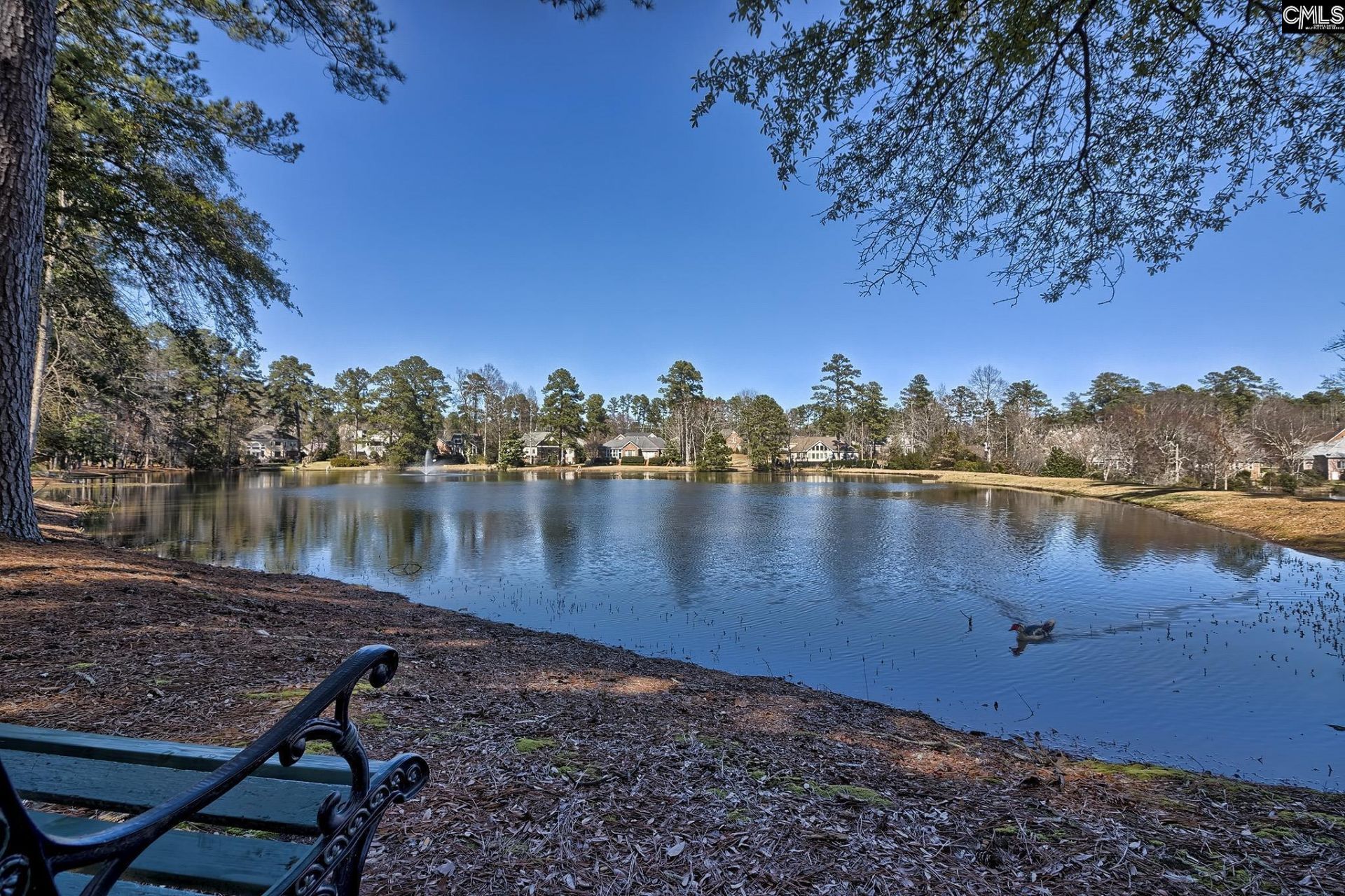 46 Woodwind Court Photo 72