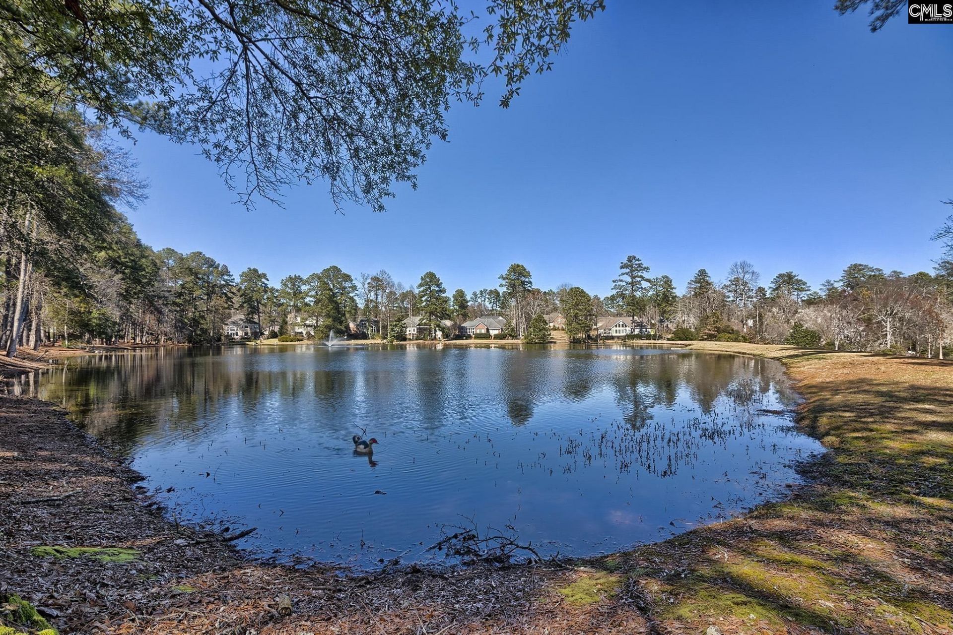 46 Woodwind Court Photo 73