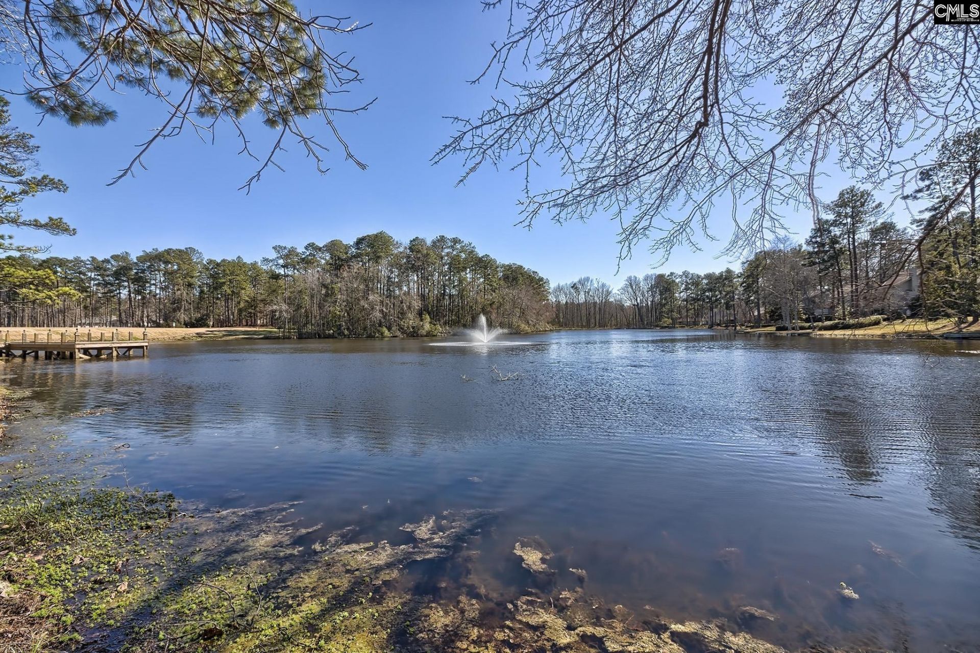 46 Woodwind Court Photo 74