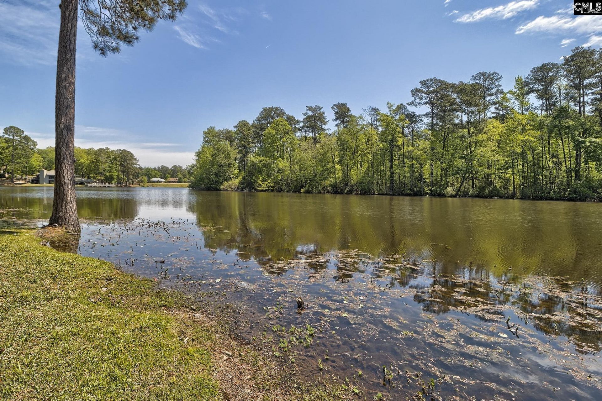 46 Woodwind Court Photo 79