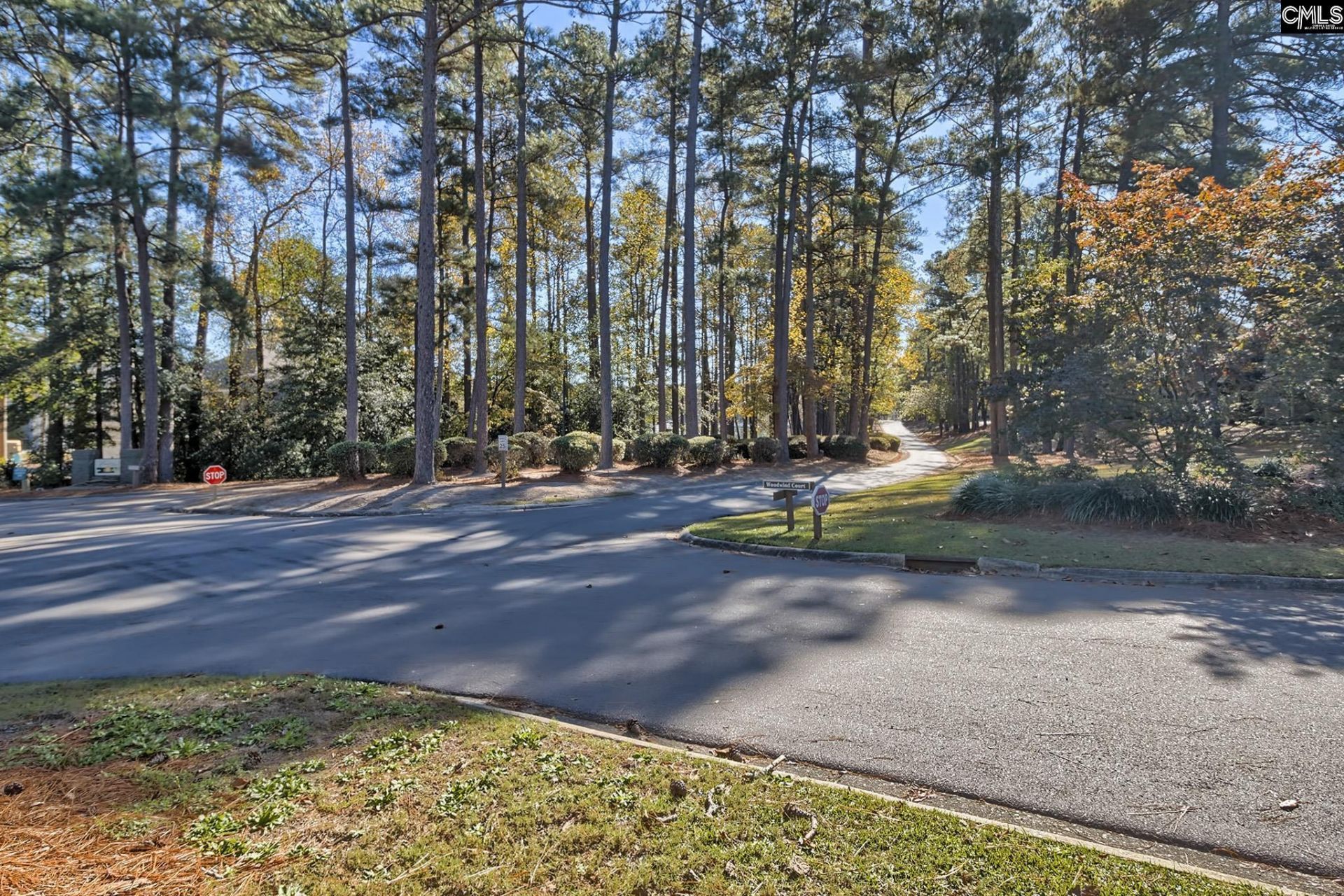 46 Woodwind Court Photo 80