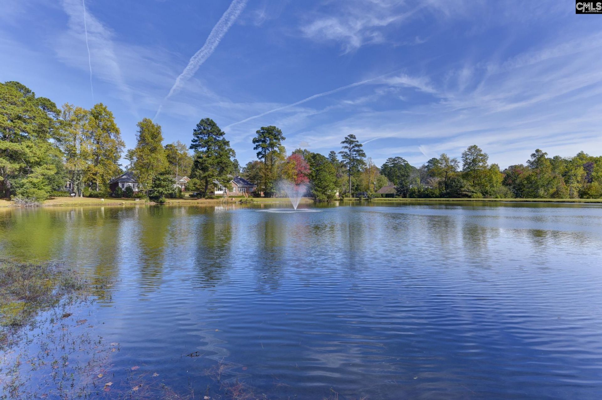 46 Woodwind Court Photo 87