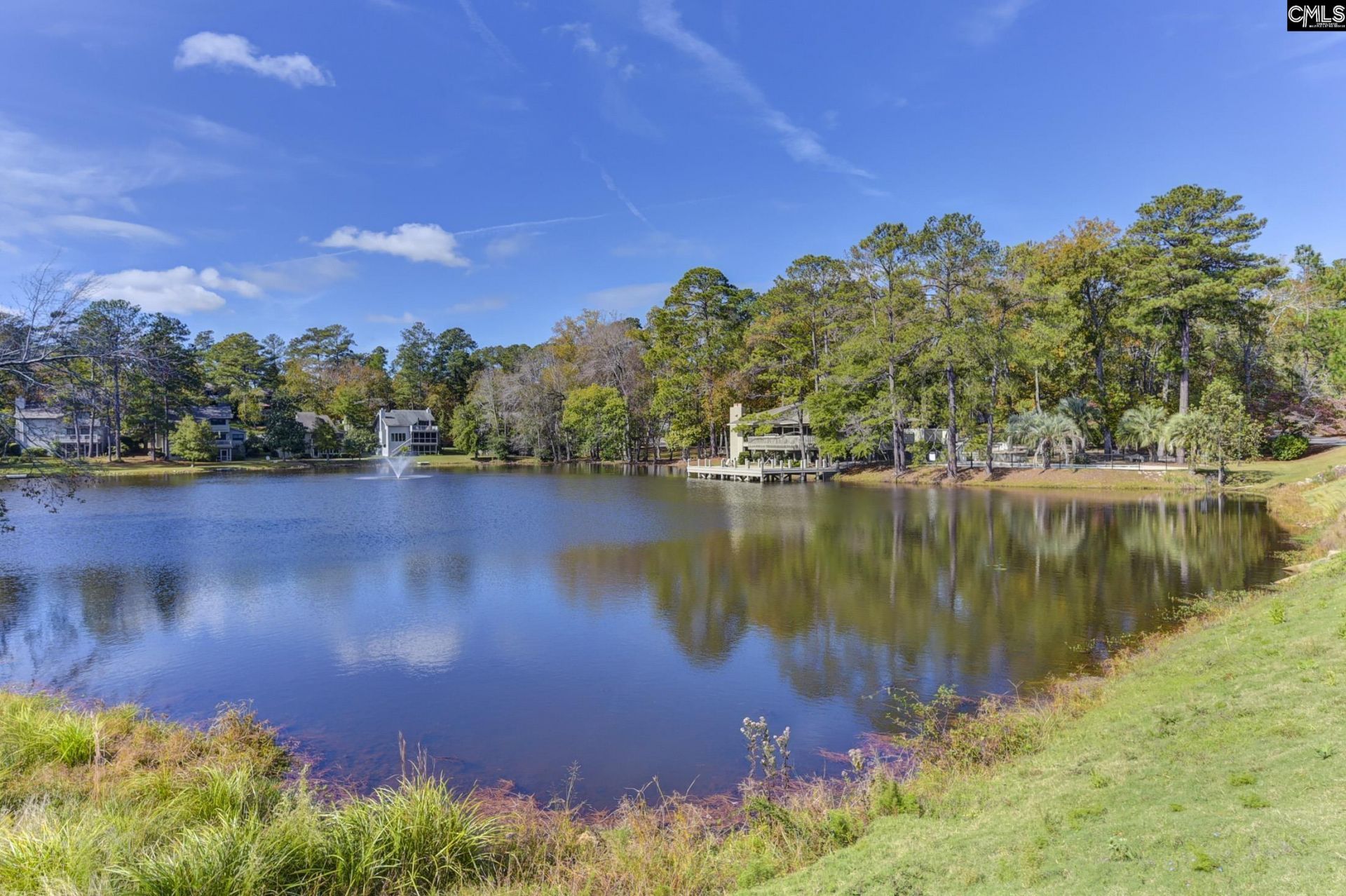 46 Woodwind Court Photo 87