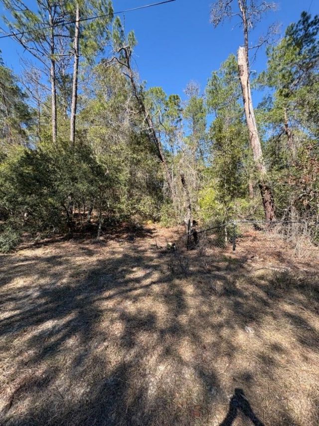Old Deer Road, Paisley, FL 32767 Main Photo