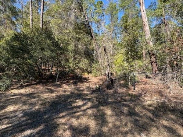 OLD DEER ROAD, PAISLEY, FL 32767