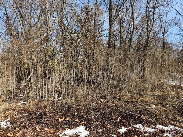 1926 N 60th Street, East St Louis, IL 62204