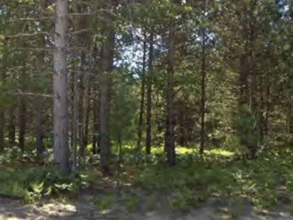 Bergstrom Drive, Kaleva, MI 49645