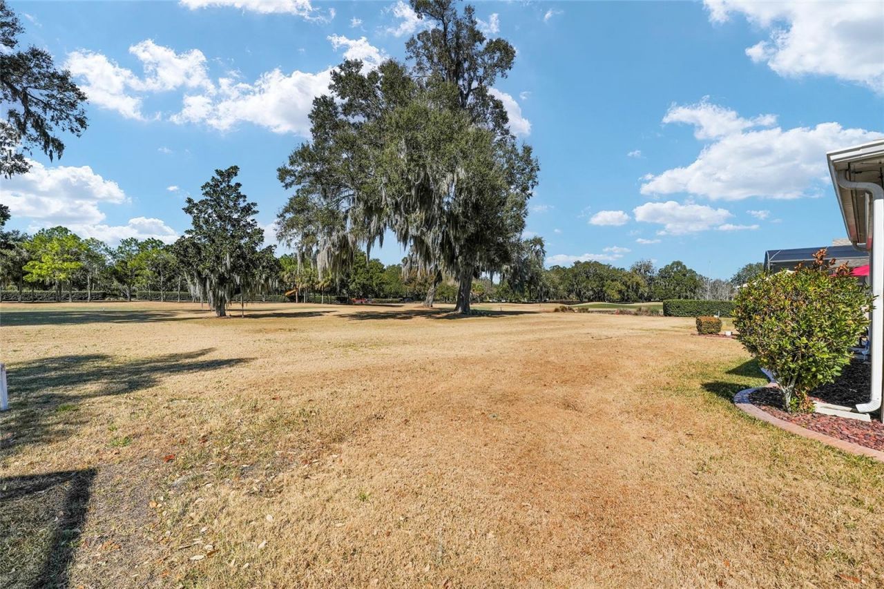 1374 Patrick Place, The Villages, FL 32162 Photo