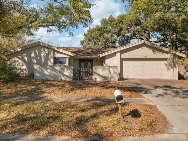 15648 BEAR CREEK DRIVE, TAMPA, FL 33624